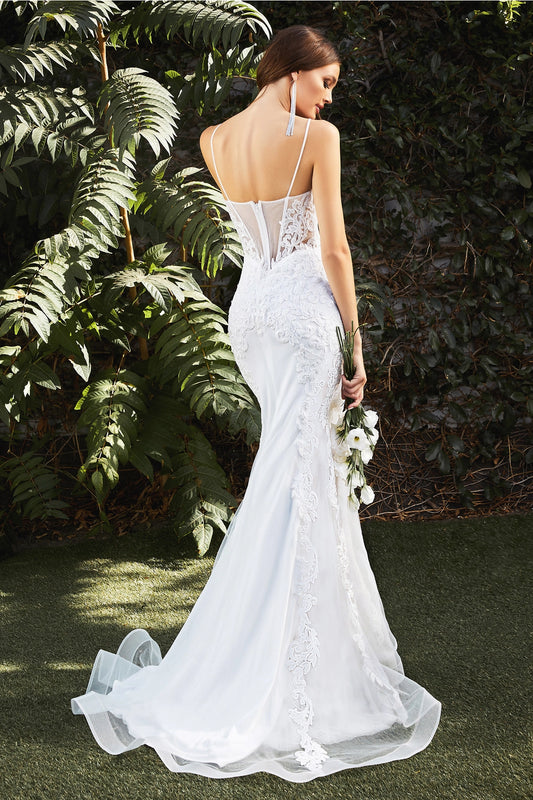 2026-66 Mermaid Illusion Wedding Dress