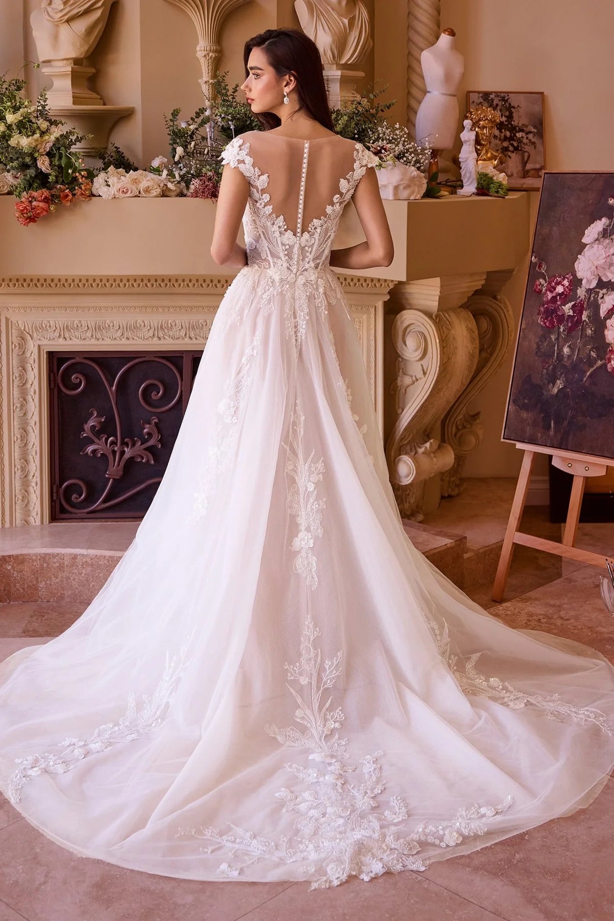 2026-23 Illusion V-Neck Ball Gown Wedding Dress