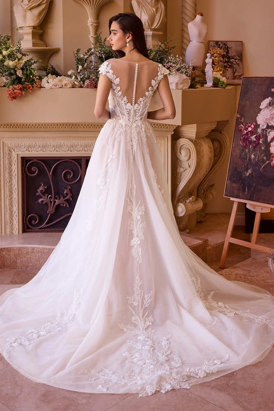 2026-23 Illusion V-Neck Ball Gown Wedding Dress
