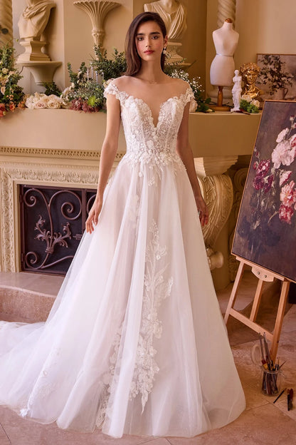 2026-23 Illusion V-Neck Ball Gown Wedding Dress