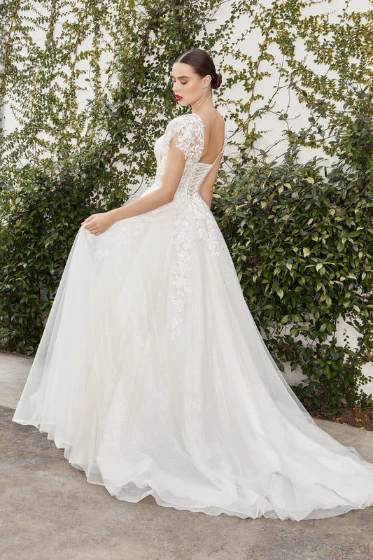 2026-24 Illusion Neckline Ball Gown Wedding Dress