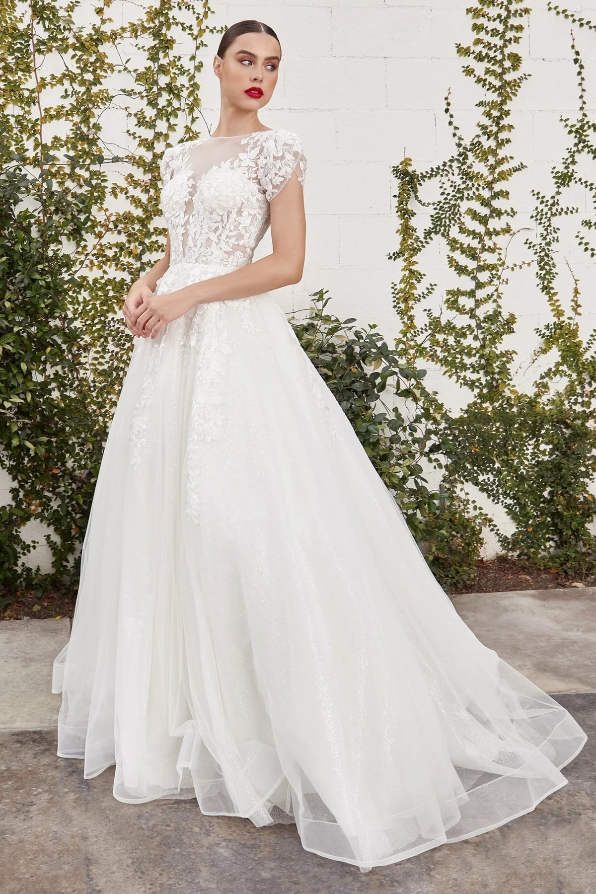 2026-24 Illusion Neckline Ball Gown Wedding Dress