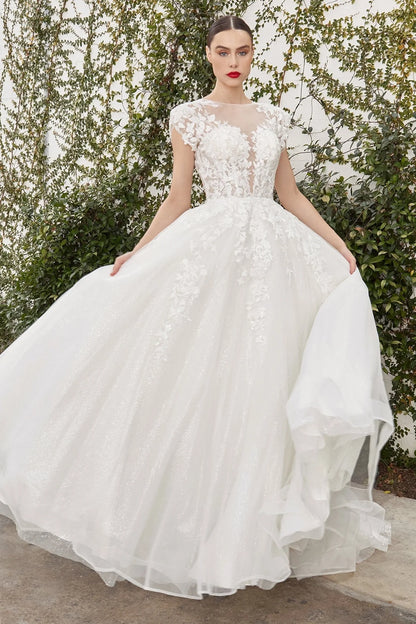 2026-24 Illusion Neckline Ball Gown Wedding Dress