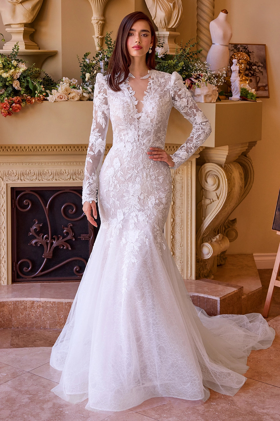 2026-16 Long Sleeve Lace Mermaid Wedding Dress