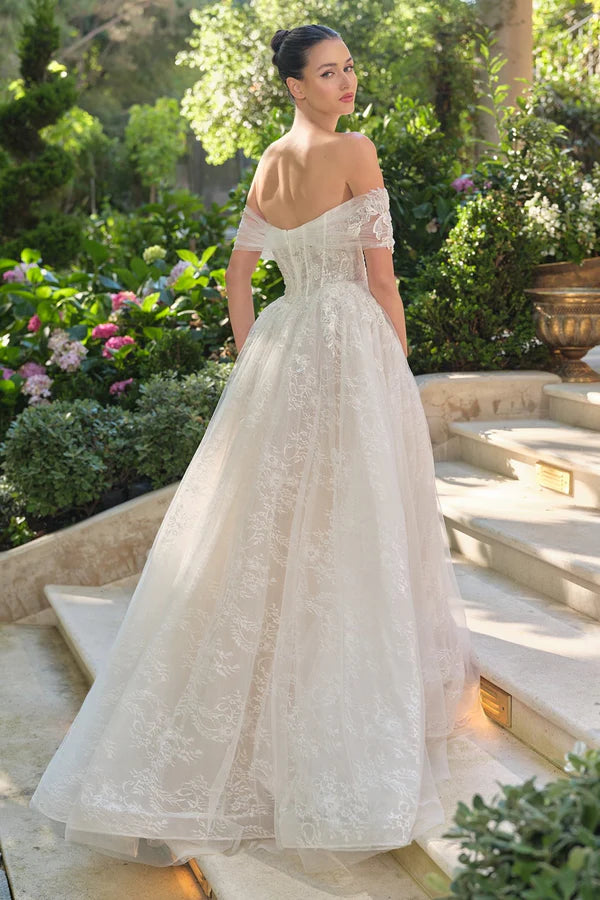 2026-14 Off-The-Shoulder Sheer Corset Bodice Ball Gown Wedding Dress