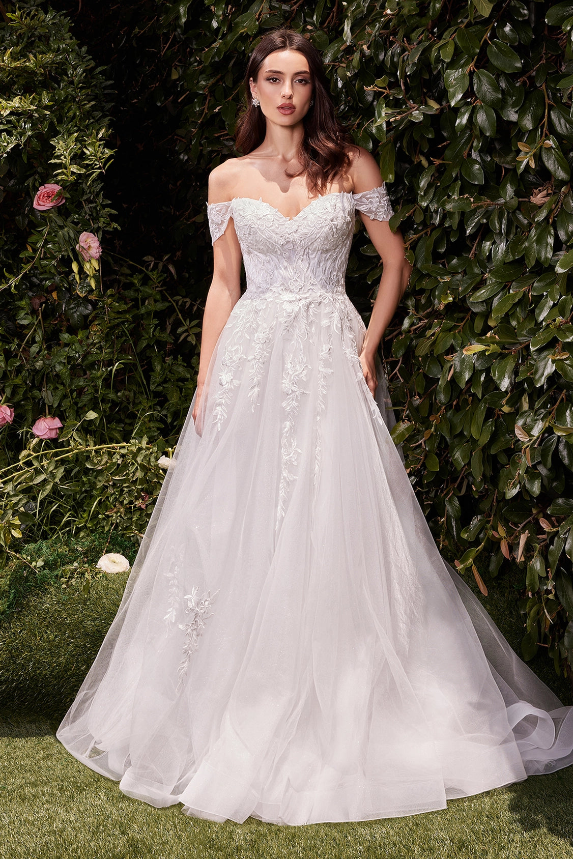 Off the shoulder A-line lace tulle wedding dress full length by Howedding
