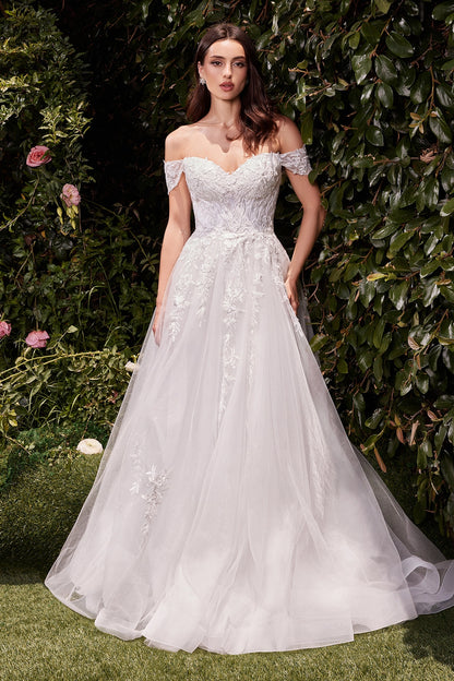 Off the shoulder A-line lace tulle wedding dress full length by Howedding