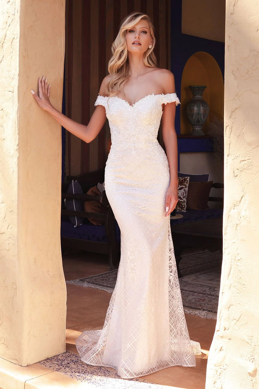 2026-04  Off the Shoulder  Lace Applique Mermaid Wedding Dress