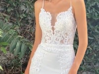 2026-66 Mermaid Illusion Wedding Dress